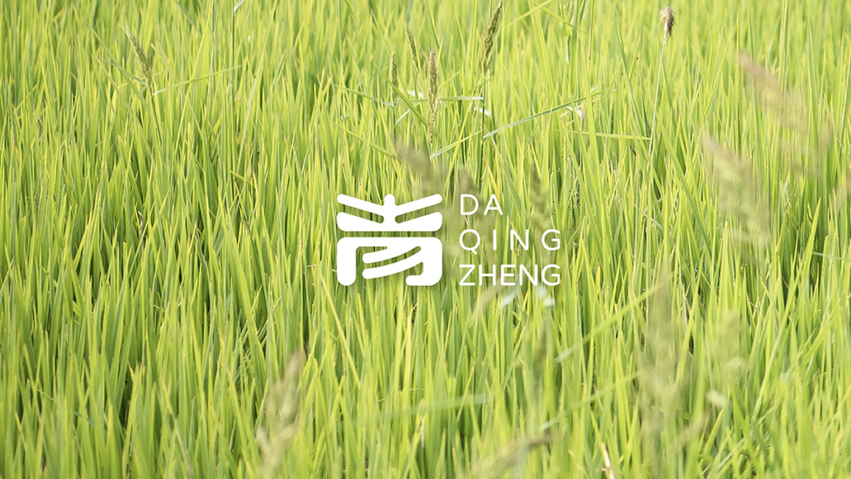 農(nóng)業(yè)vi設(shè)計(jì).jpg