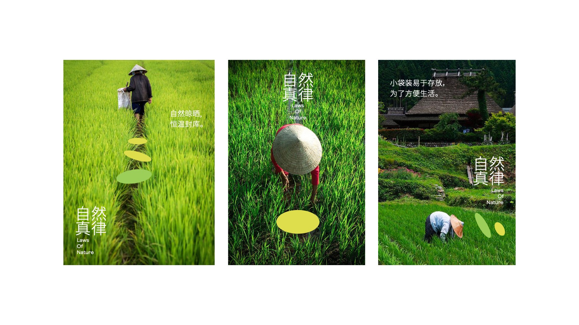特色農(nóng)產(chǎn)品包裝設(shè)計(jì).jpeg